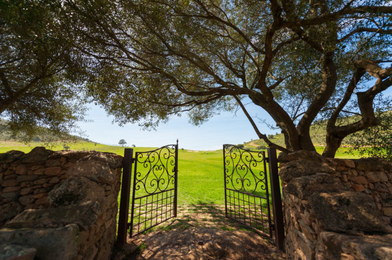 Le Maquis : wedding venue in Corsica